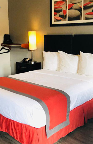 THE LEXMAR OFFERS REMODELLED GUEST ROOMS